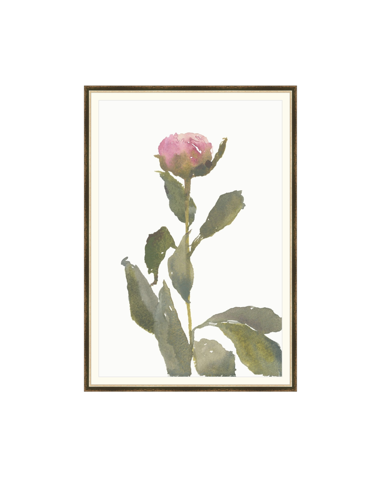 Single Rose