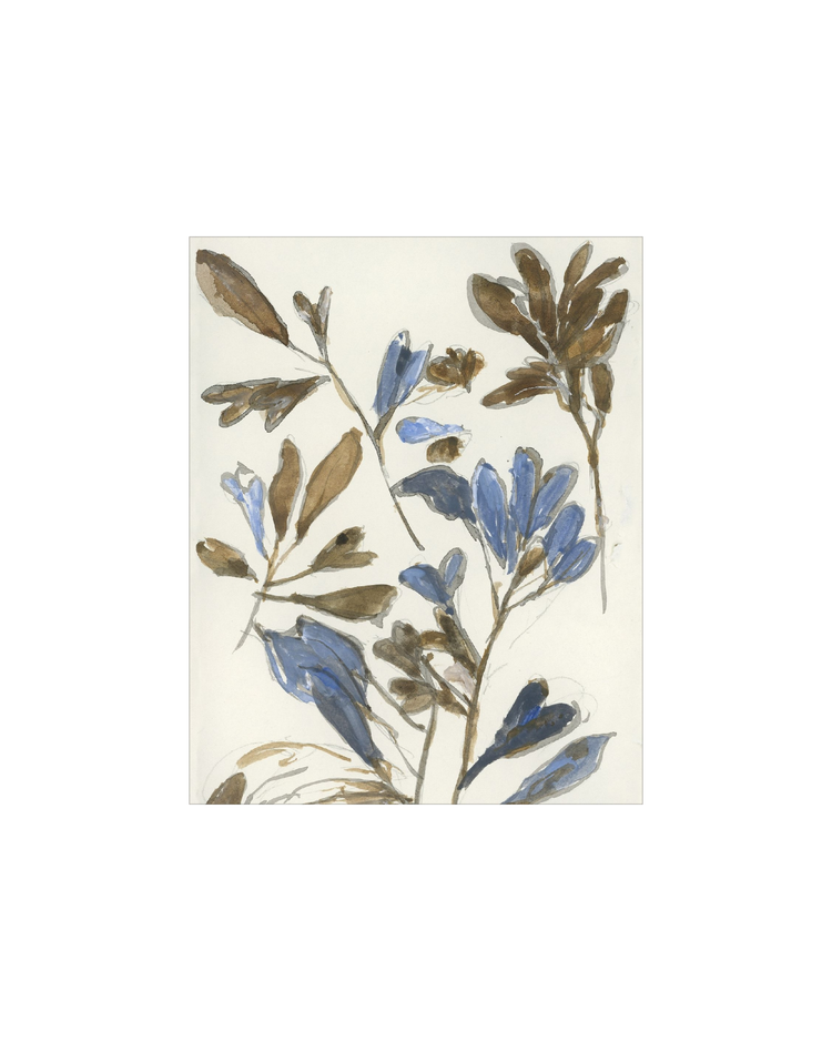 Botanical Color Study HoJ