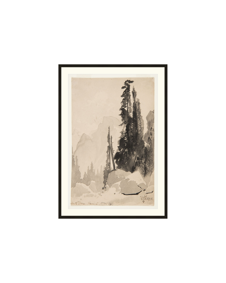 Antique Trees Drawing OAShop