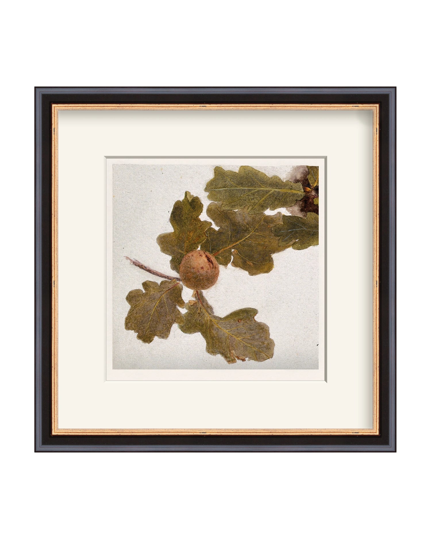 Framed - Traditional Black and Gold - Warm White Mat / 11.88 x 12 / Rag