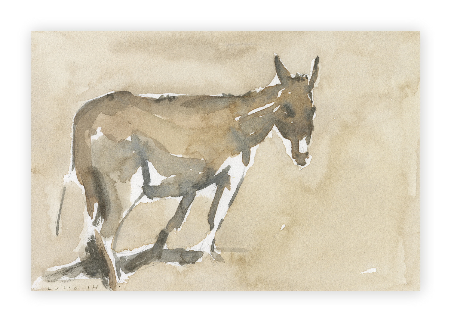 Unframed Smooth Print / 18 x 12