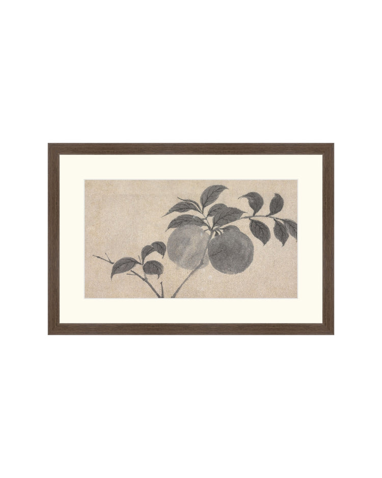 Shadowed Blooms 1