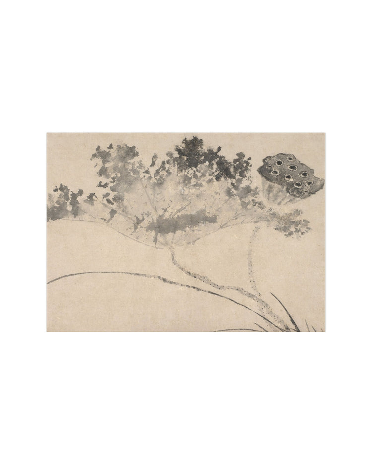 Shadowed Blooms 9