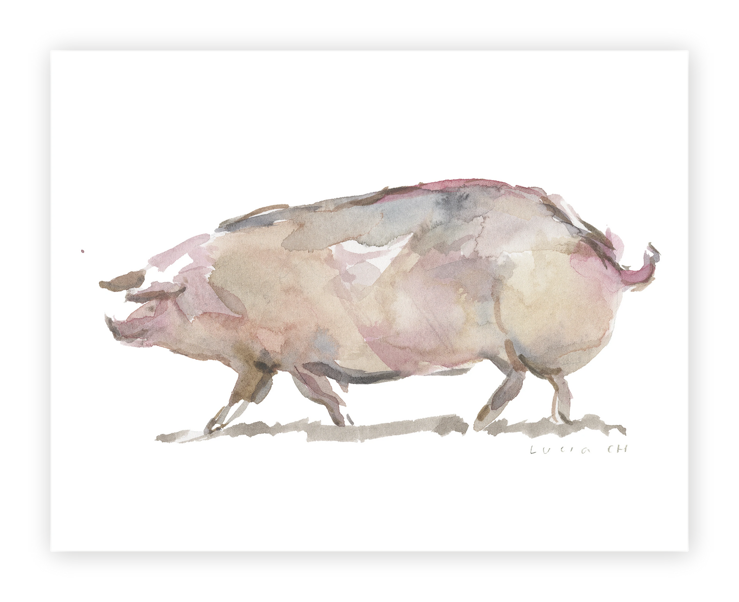 Unframed Smooth Print / 14 x 11