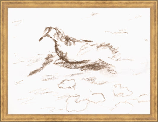 Framed Wannsee Duck. Frame: Timeless Gold. Paper: Rag Paper. Art Size: 12x16. Final Size: 13'' X 17''