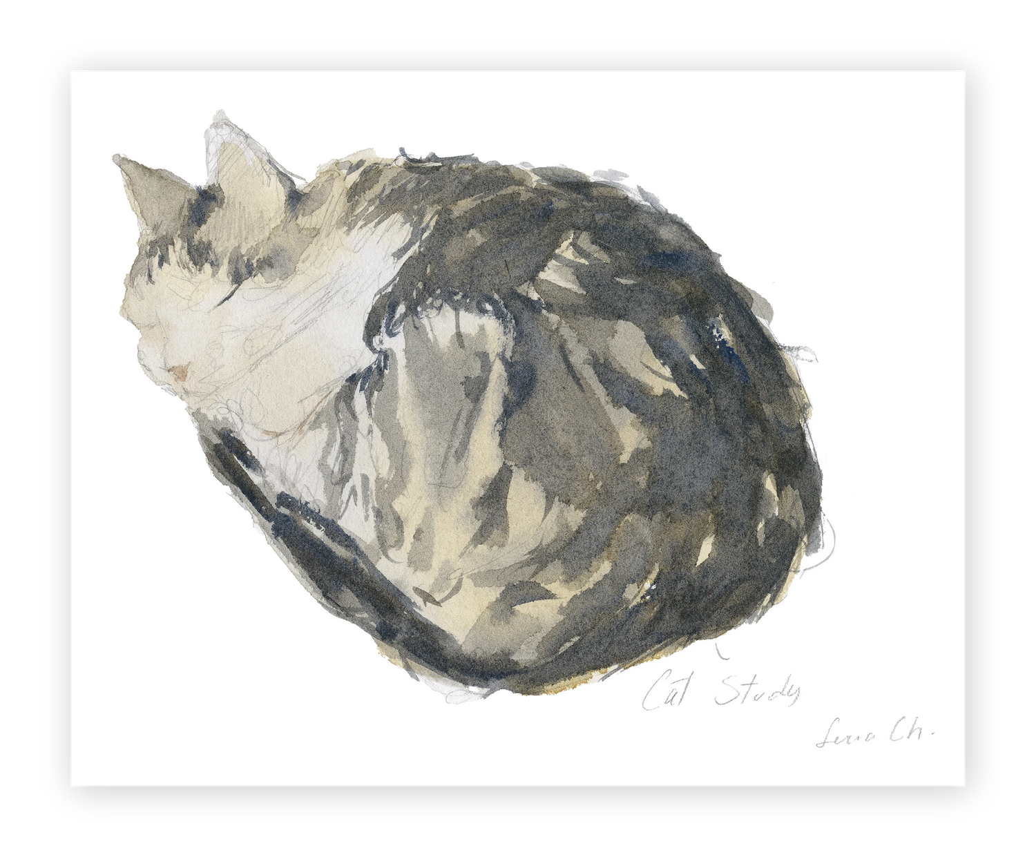 Unframed Smooth Print / 10 x 8