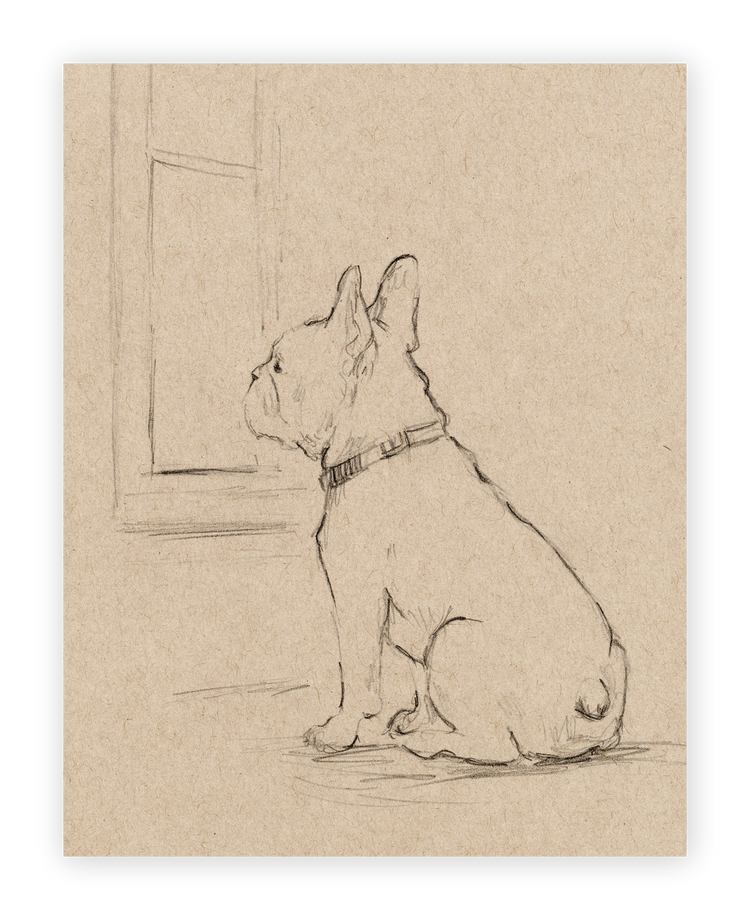 Unframed Smooth Print / 11 x 14