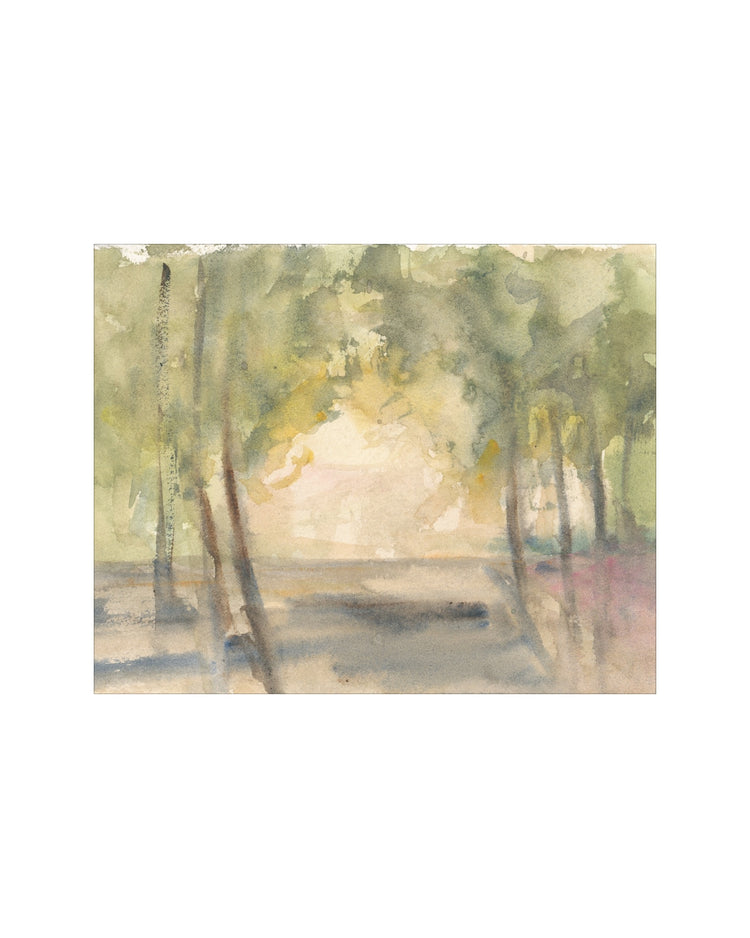 Light Through the Trees