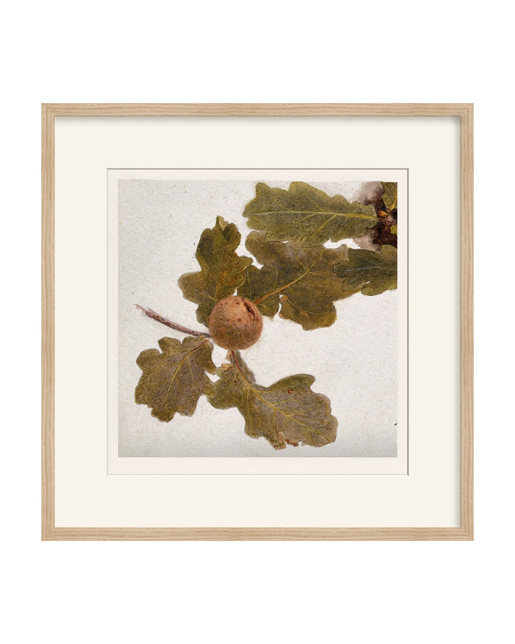 Framed - Matte Oak - Warm White Mat / 21.25 x 21.5 / Rag