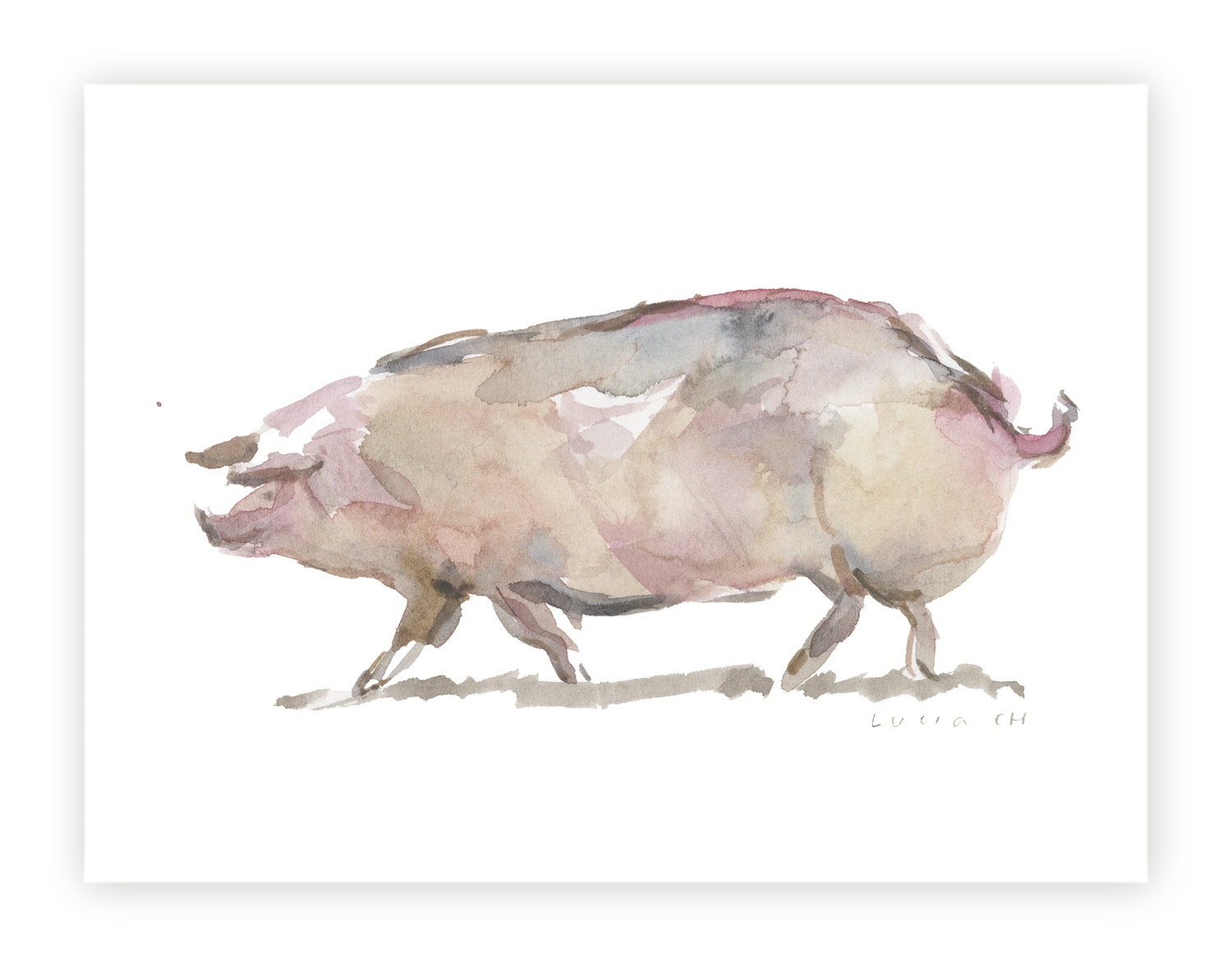 Unframed Smooth Print / 24 x 18