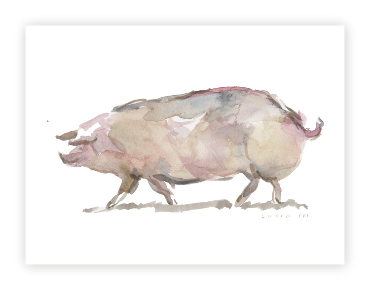 Unframed Smooth Print / 24 x 18