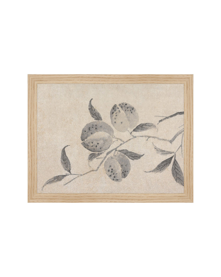 Shadowed Blooms 8