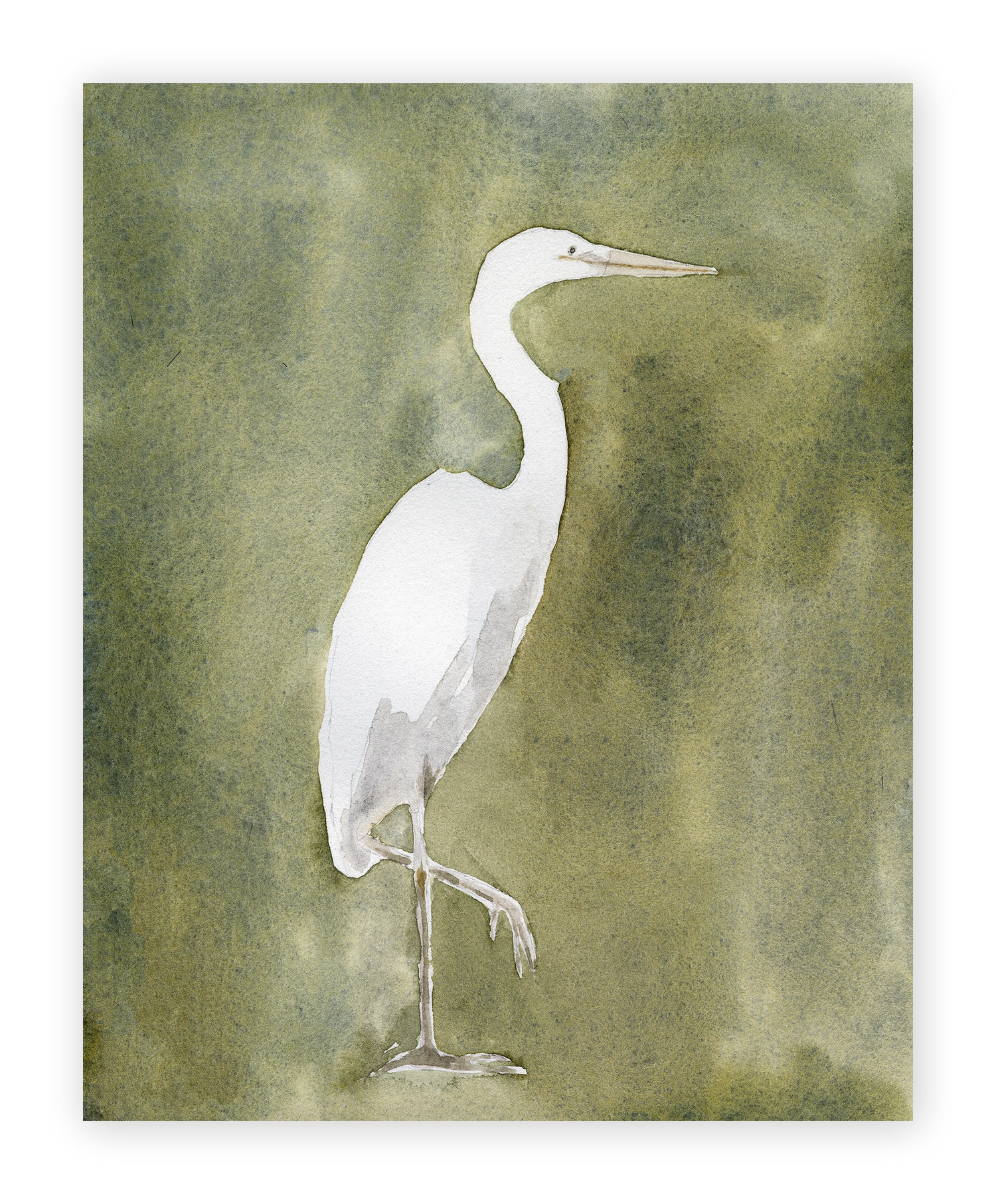 Unframed Smooth Print / 16 x 20