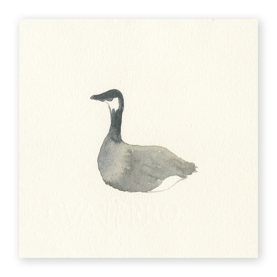 Unframed Smooth Print / 4 x 4
