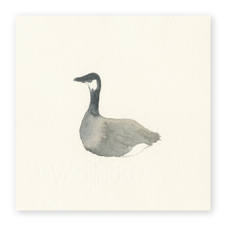 Unframed Smooth Print / 4 x 4