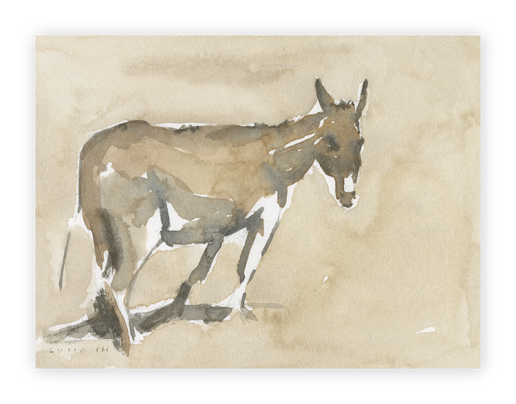 Unframed Smooth Print / 24 x 18