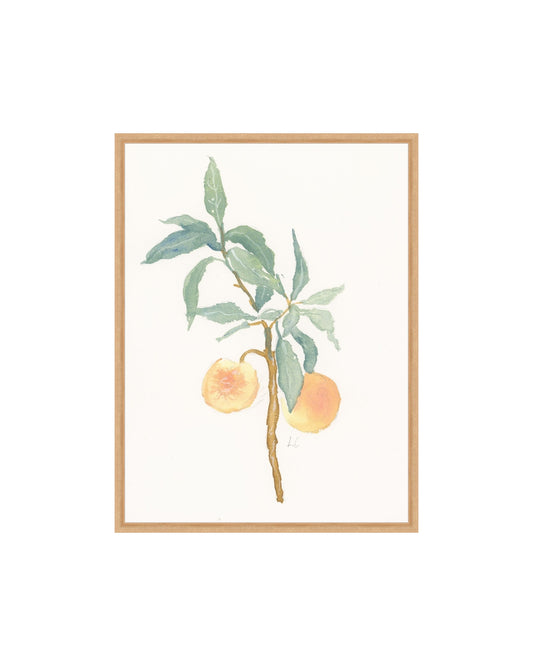 Peach Branch
