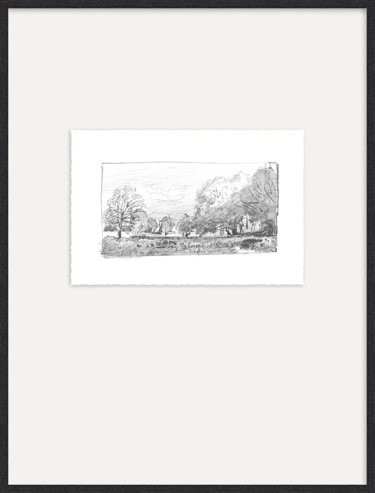 Charcoal Trees 1 - Custom Framed Print with Mat