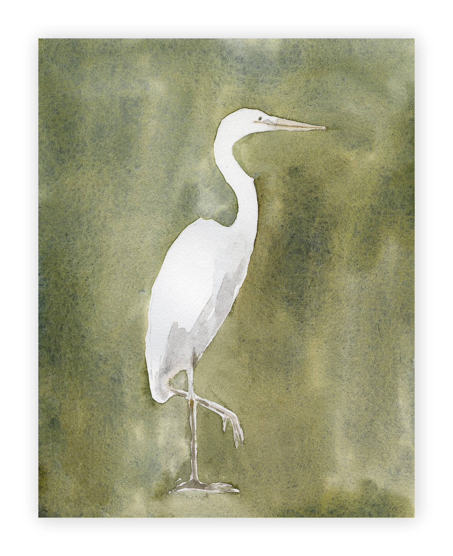 Unframed Smooth Print / 11 x 14