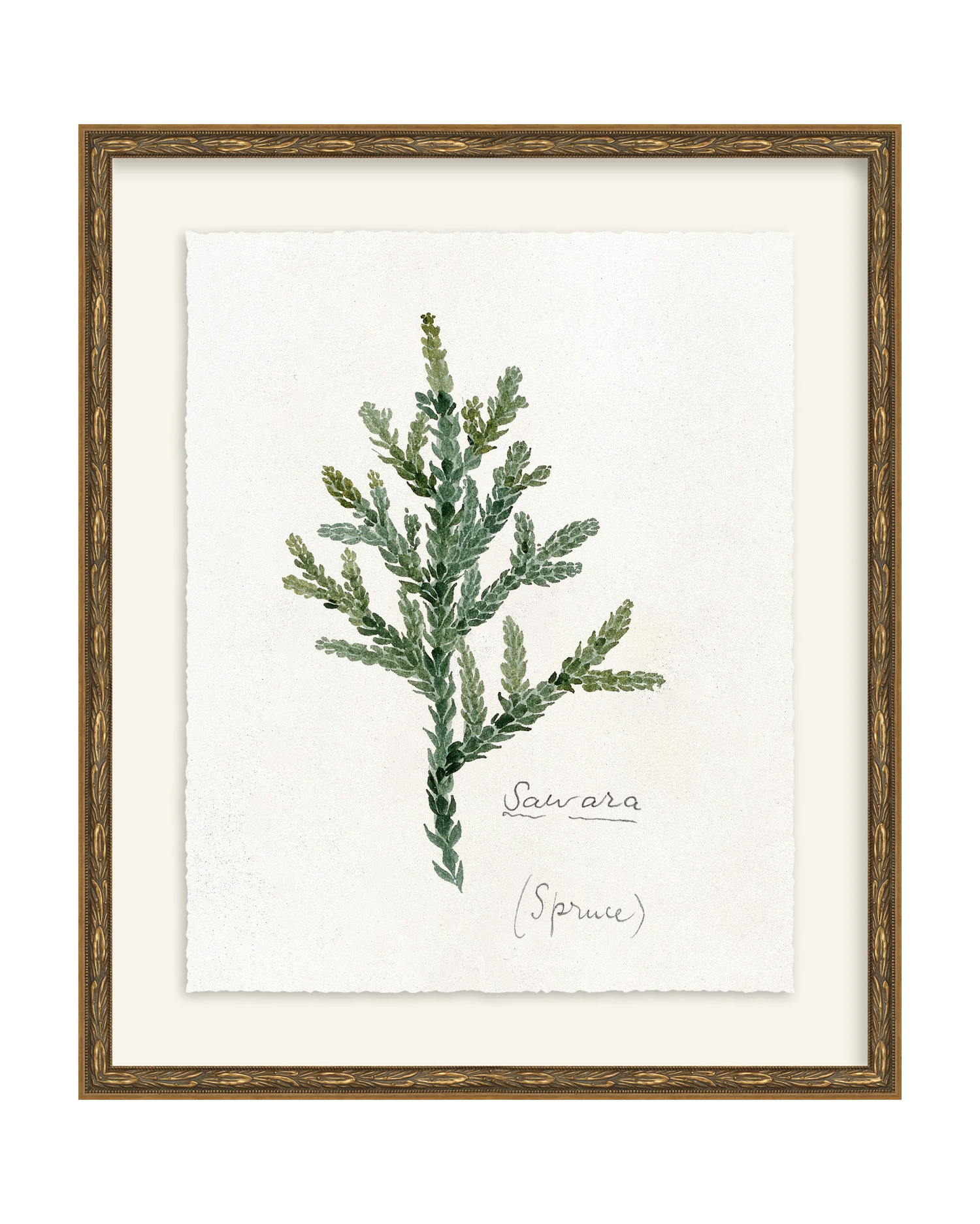 Framed - Laurel Gold - Torchon - Warm White Mat / 17.3 x 20.5