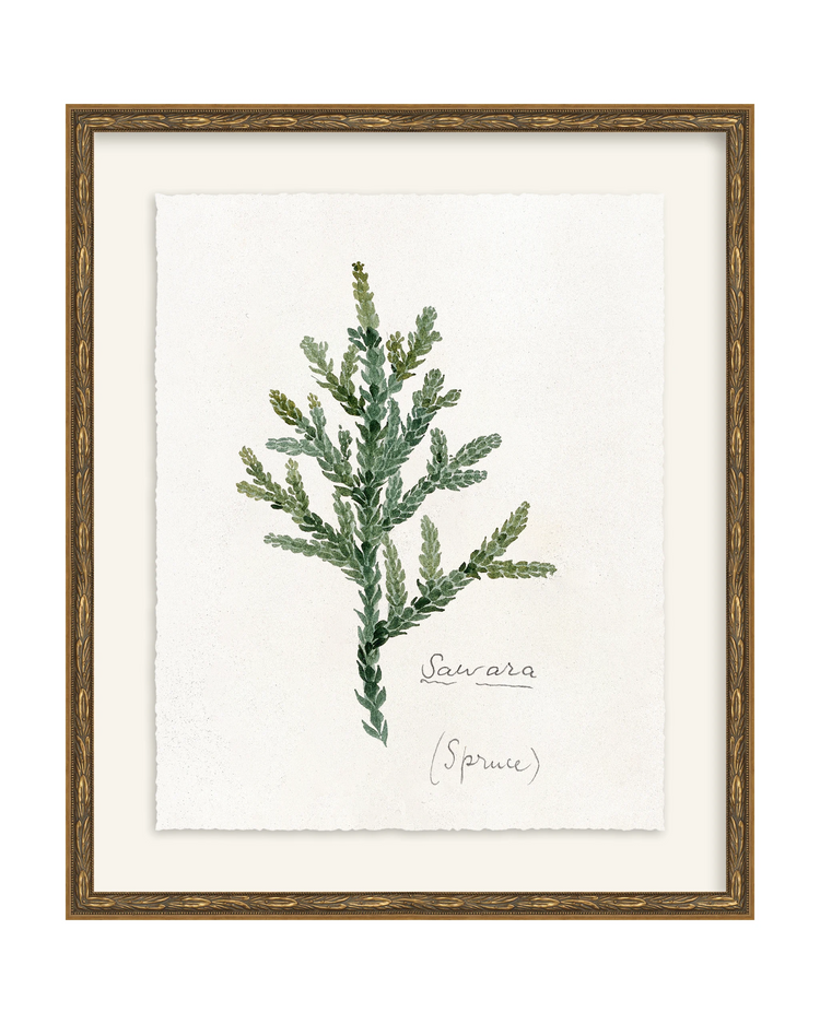 Framed - Laurel Gold - Torchon - Warm White Mat / 17.3 x 20.5