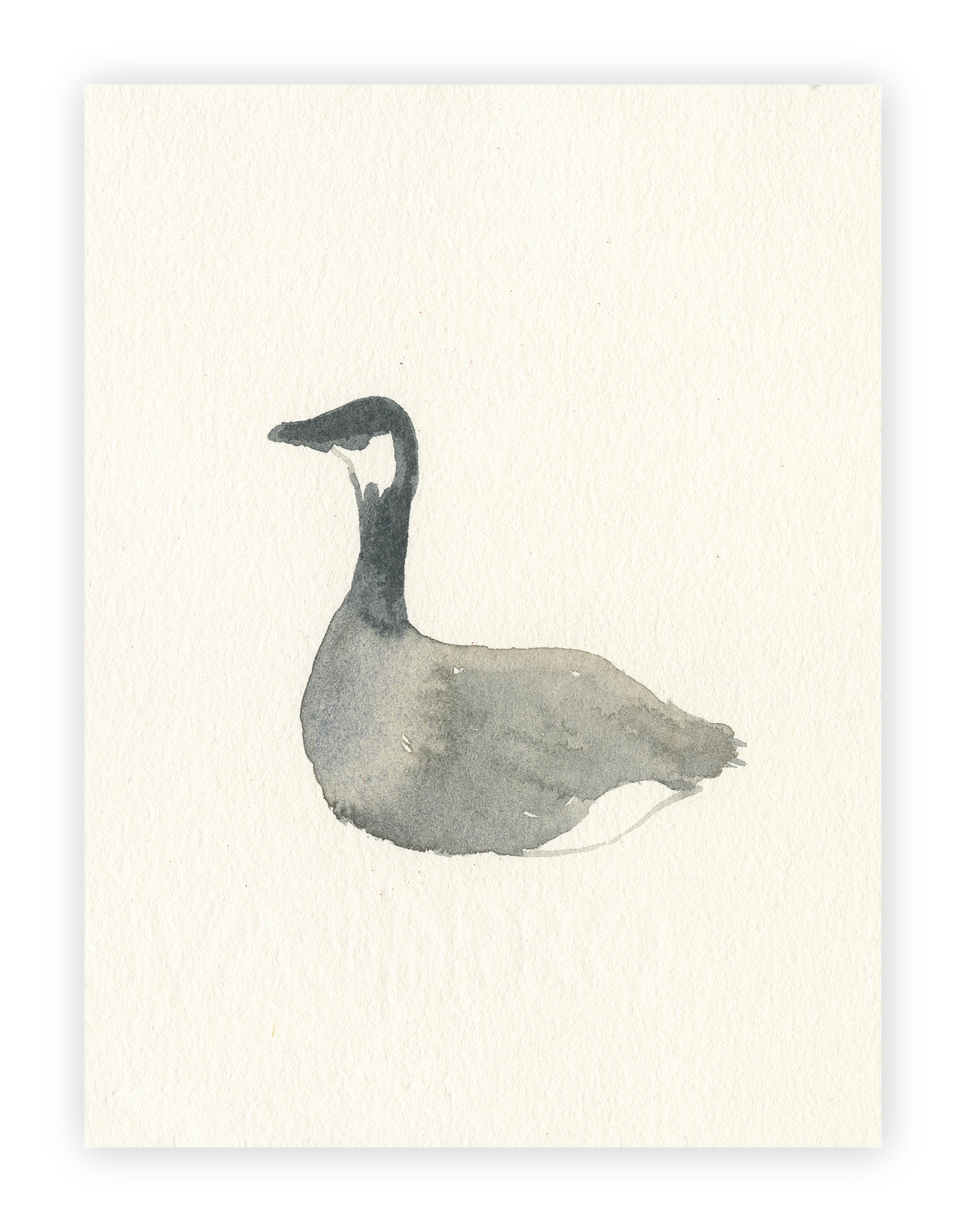 Unframed Smooth Print / 18 x 24