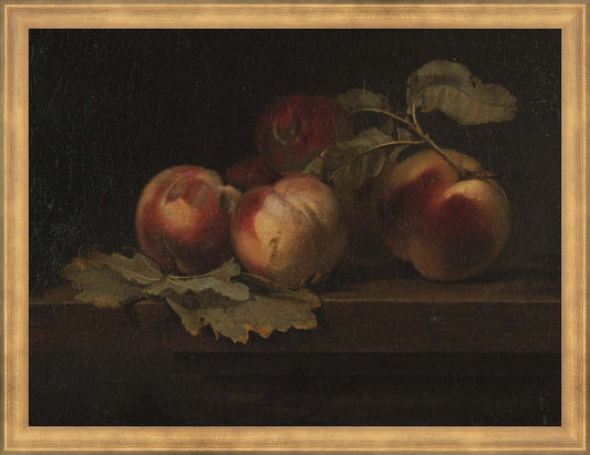 Framed Quiet Peaches. Frame: Timeless Gold. Paper: Rag Paper. Art Size: 12x16. Final Size: 13'' X 17''