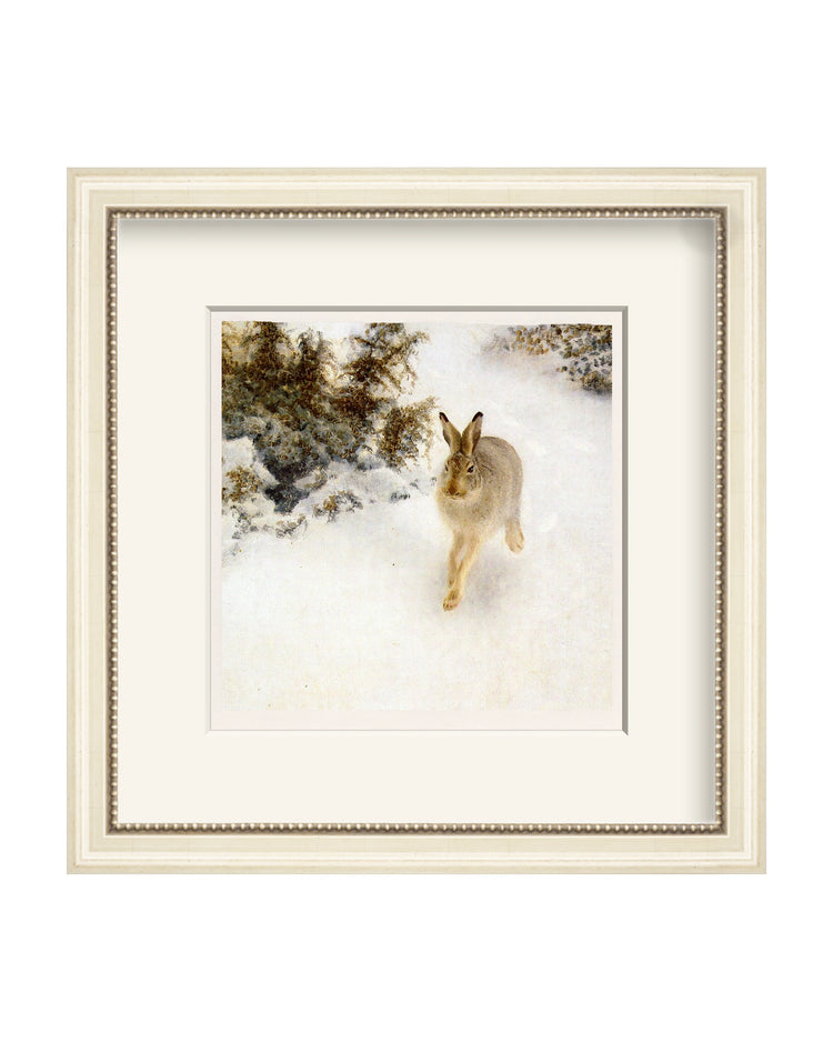 Framed - Antique Ivory - Warm White Mat / 12.13 x 12.25 / Rag