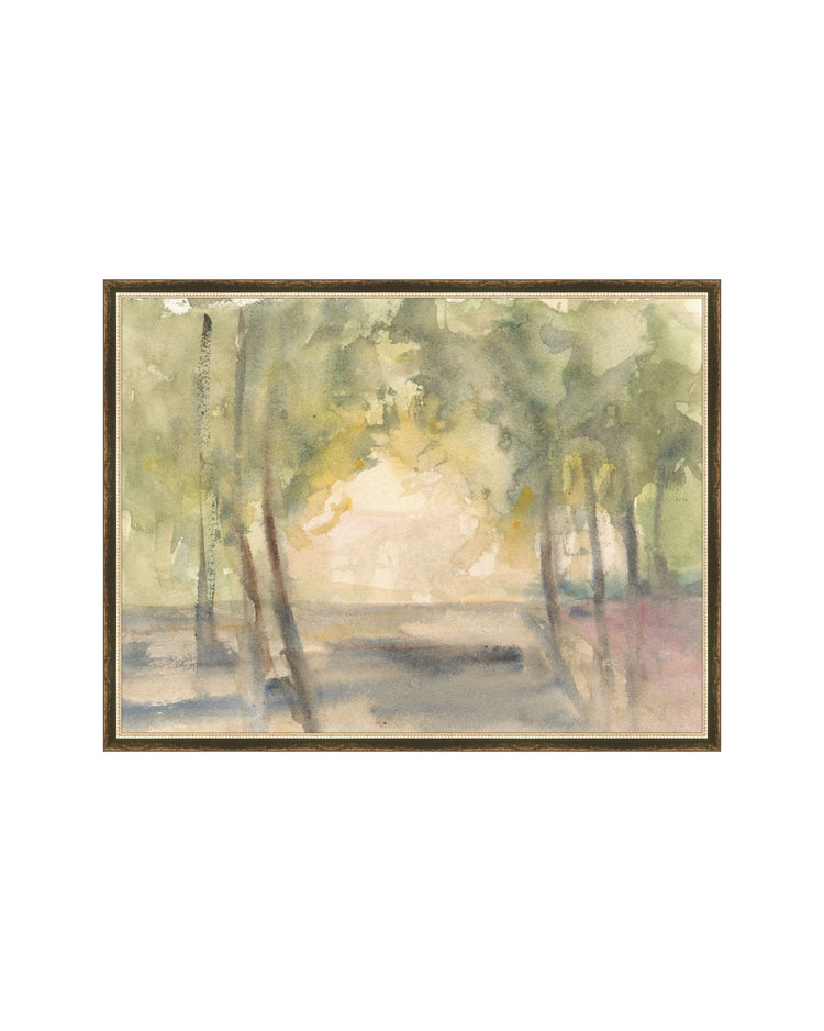 Light Through the Trees