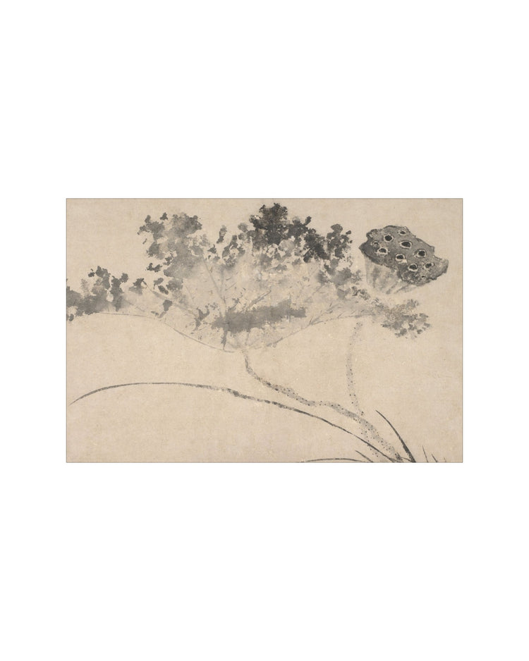 Shadowed Blooms 9