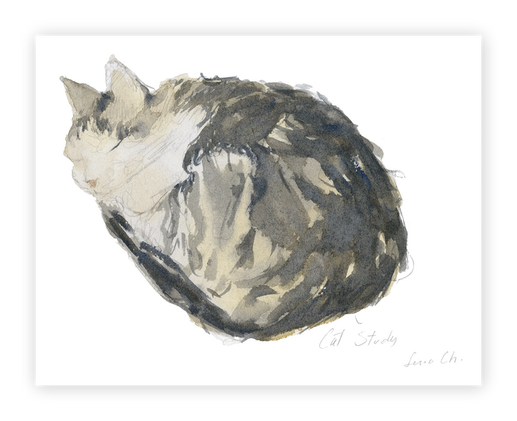 Unframed Smooth Print / 14 x 11