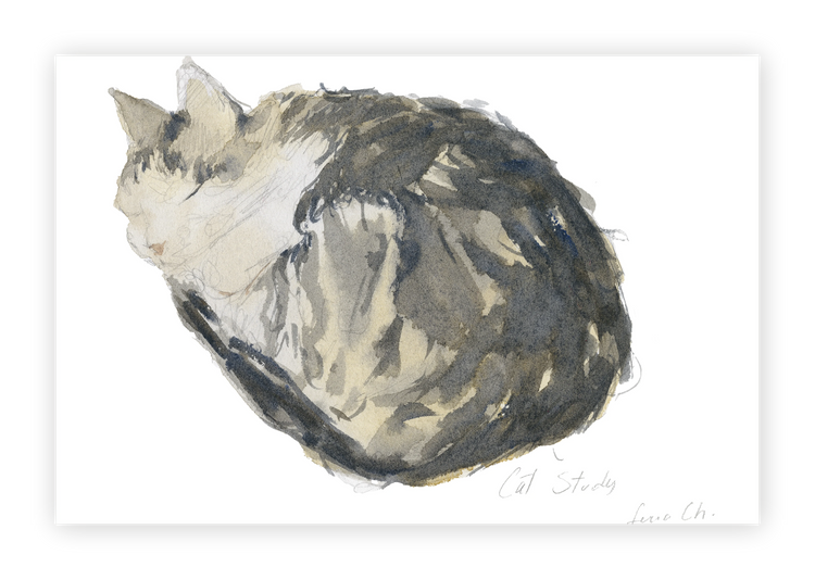 Unframed Smooth Print / 18 x 12
