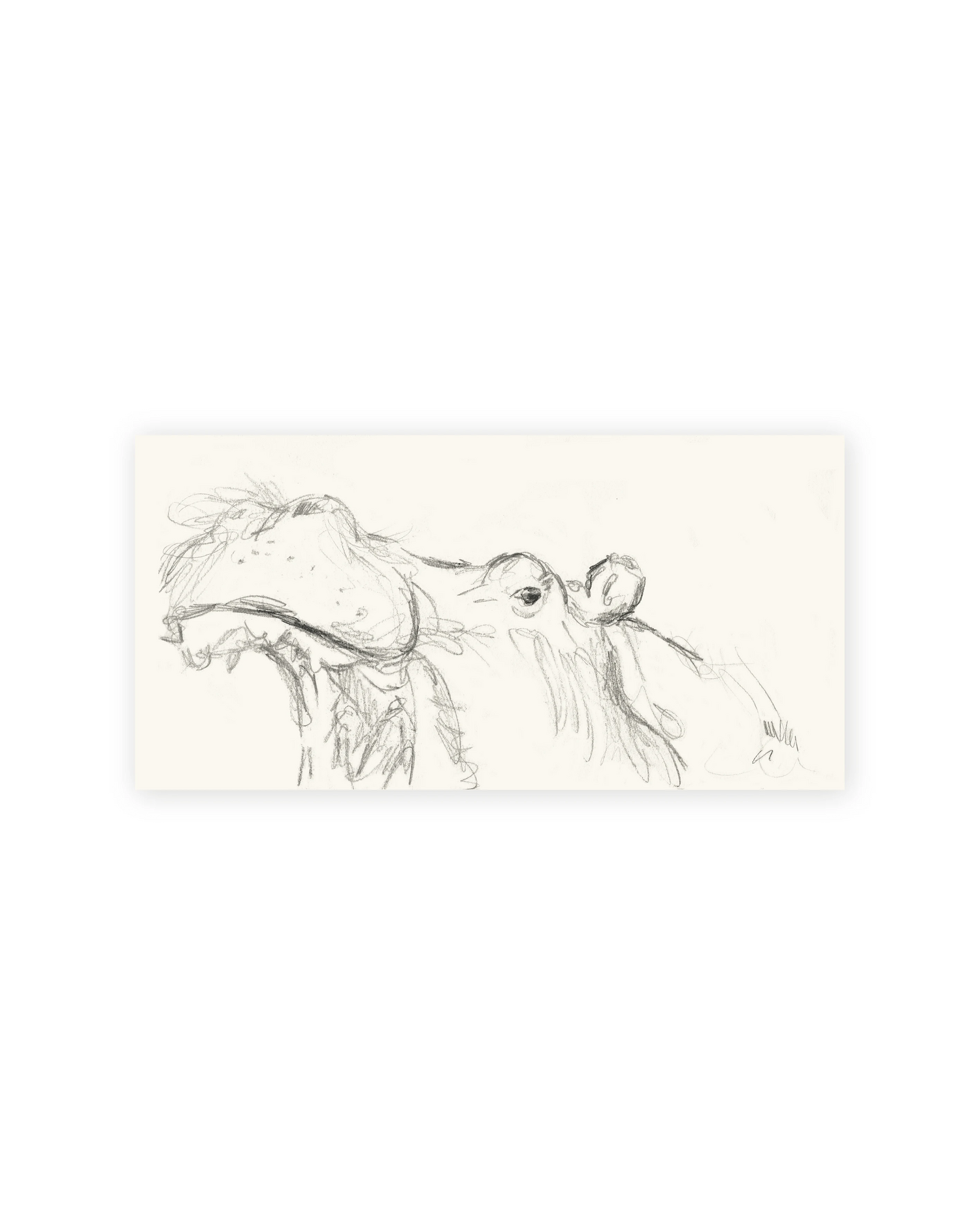 Unframed Smooth Print / 16 x 8
