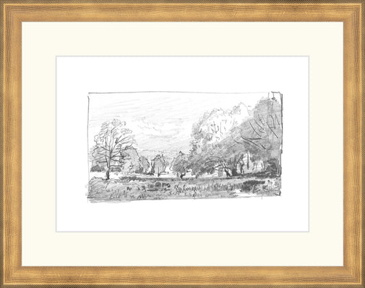 Framed Charcoal Trees 1. Frame: Timeless Gold. Paper: Rag Paper. Art Size: 7x10. Final Size: 11'' X 14''