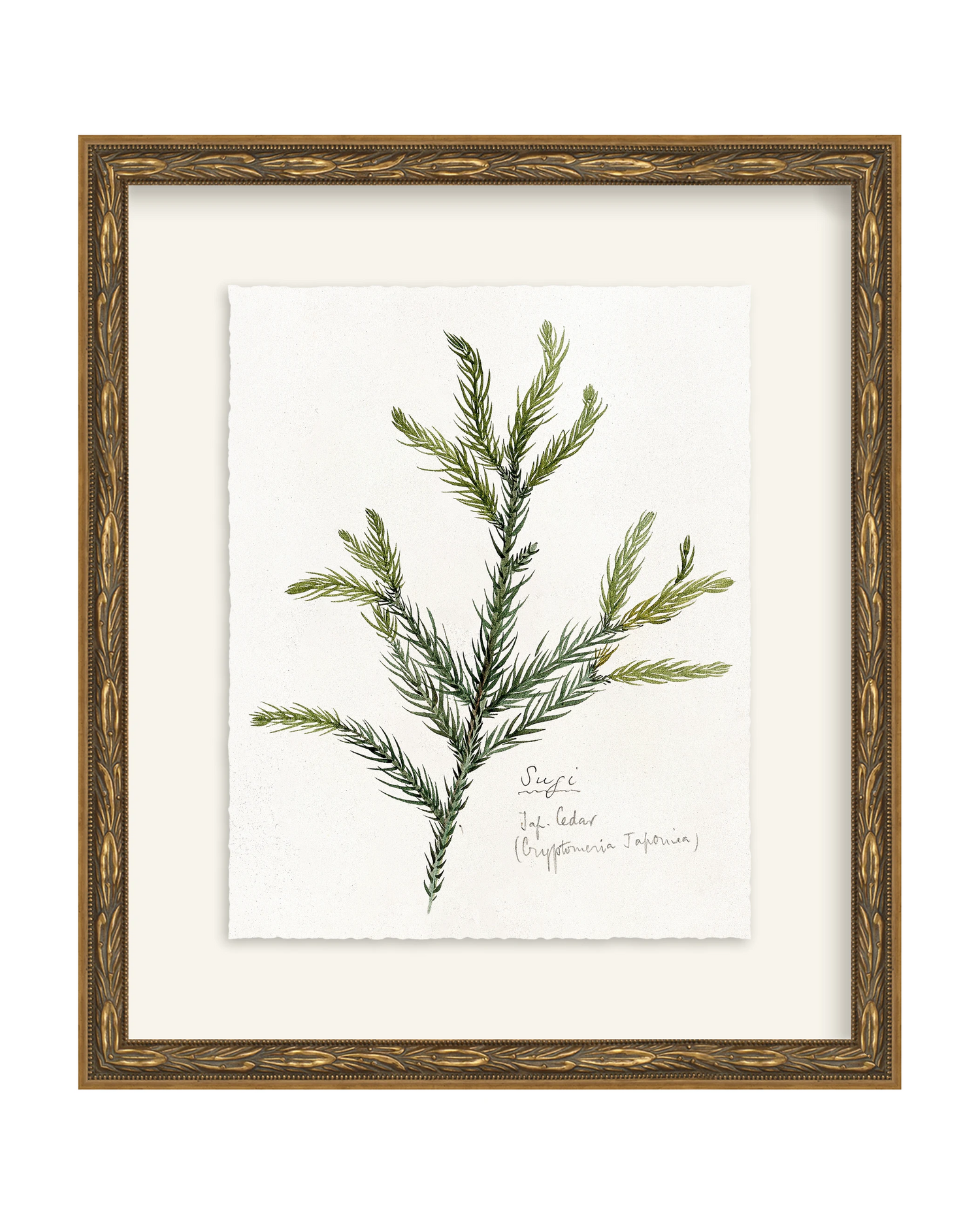 Framed - Laurel Gold - Torchon - Warm White Mat / 12.5 x 14.5