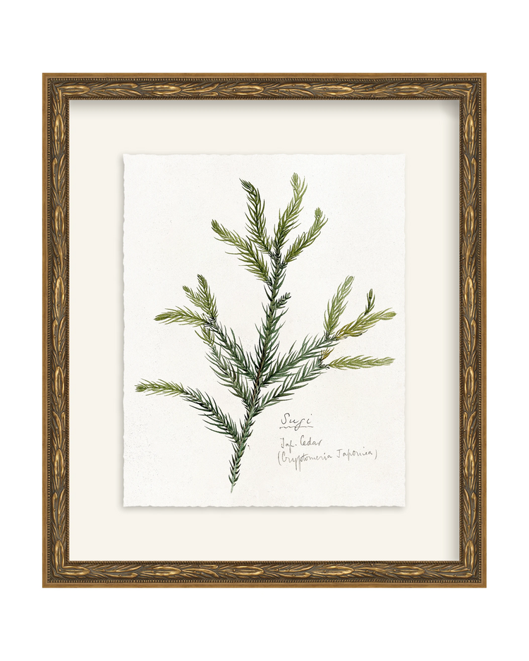 Framed - Laurel Gold - Torchon - Warm White Mat / 12.5 x 14.5