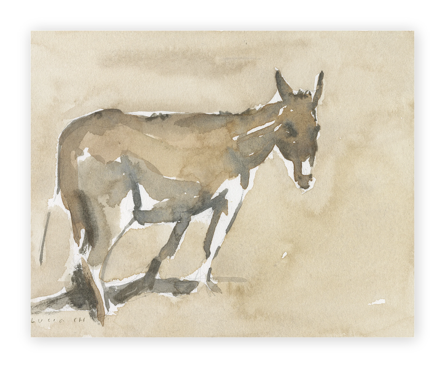 Unframed Smooth Print / 10 x 8