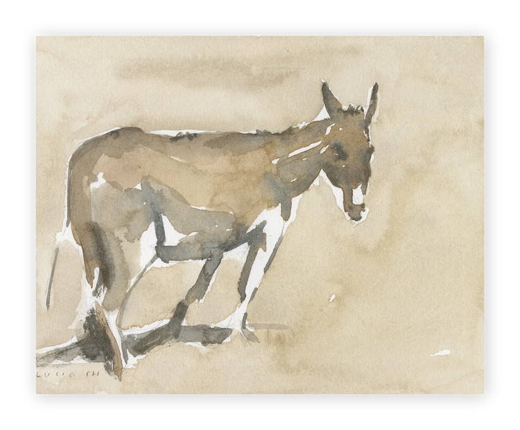 Unframed Smooth Print / 10 x 8