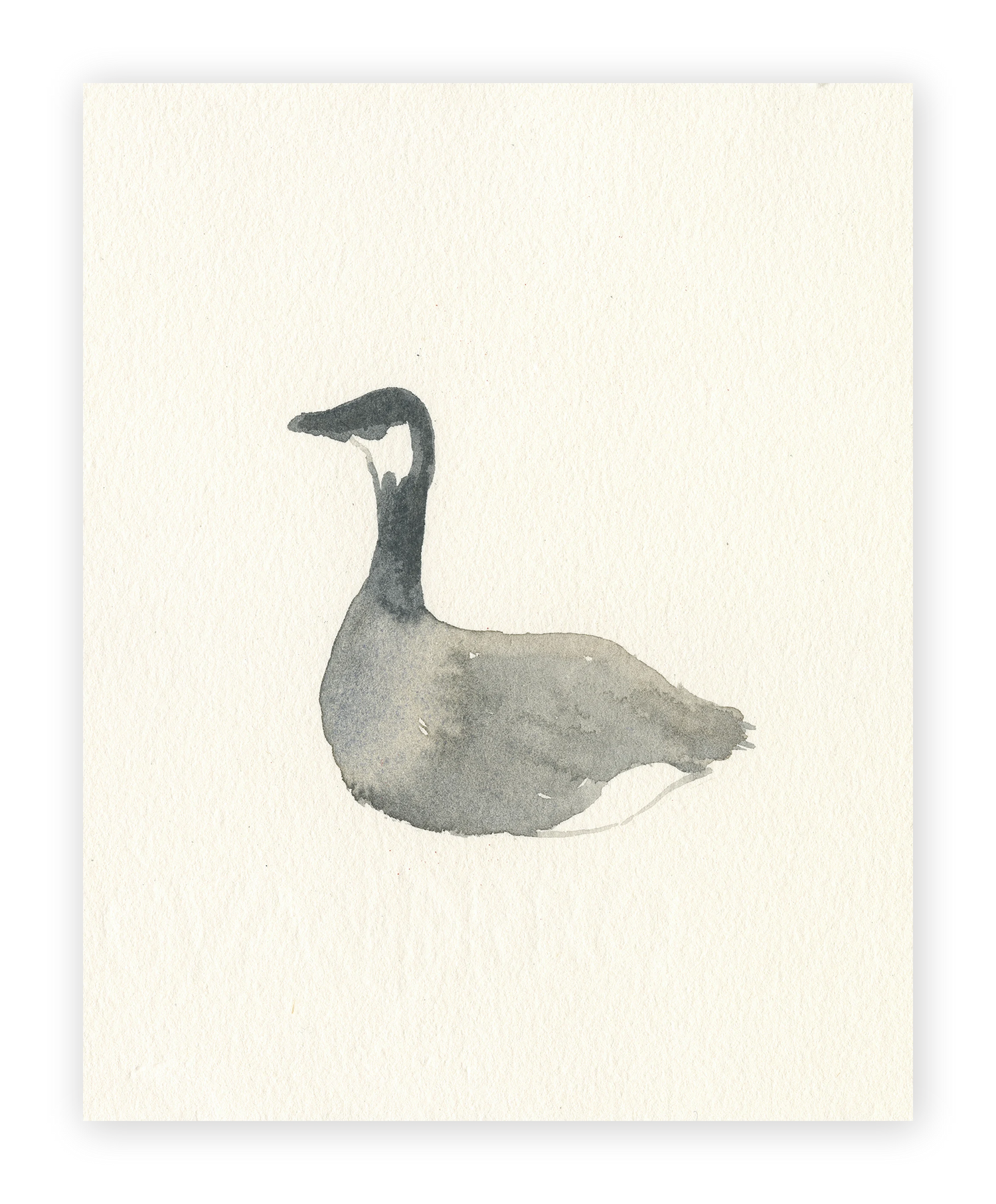 Unframed Smooth Print / 8 x 10