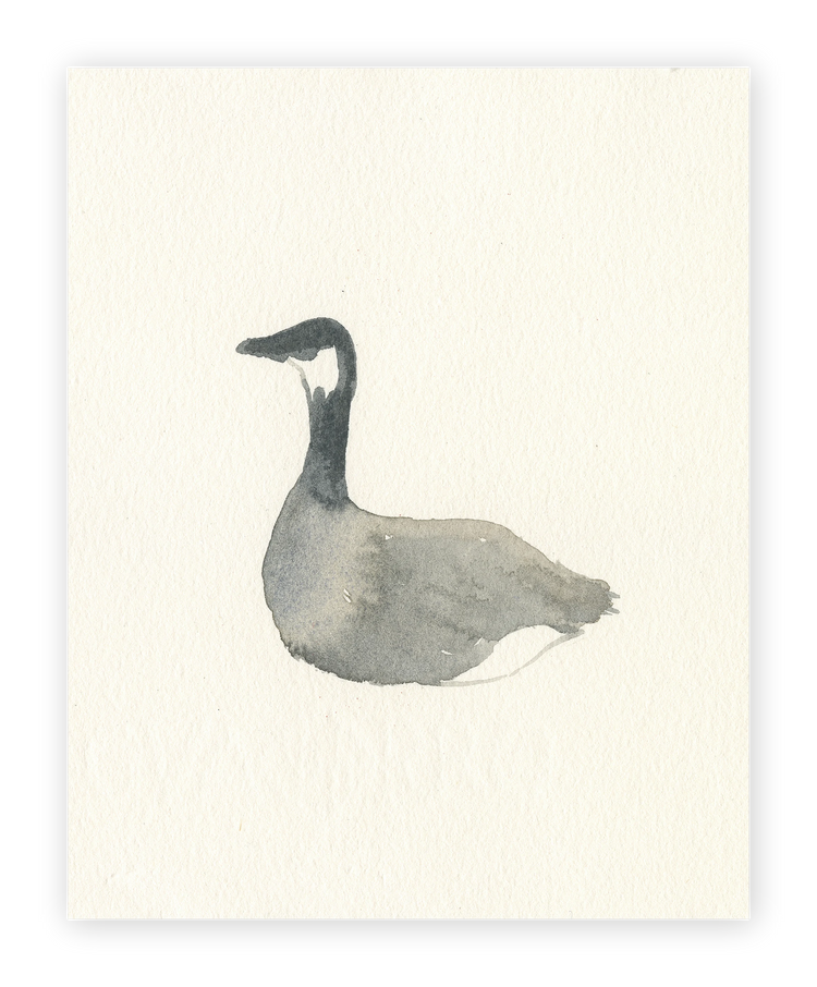 Unframed Smooth Print / 8 x 10
