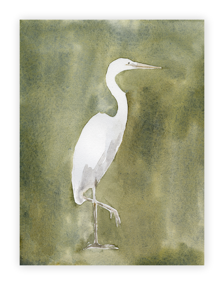 Unframed Smooth Print / 18 x 24