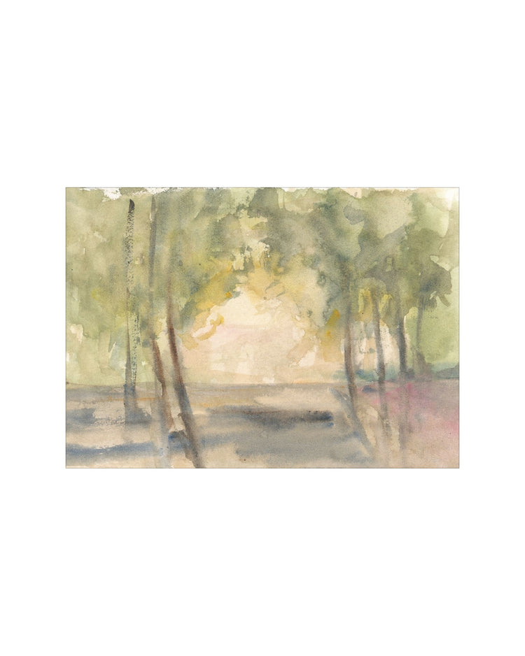 Light Through the Trees