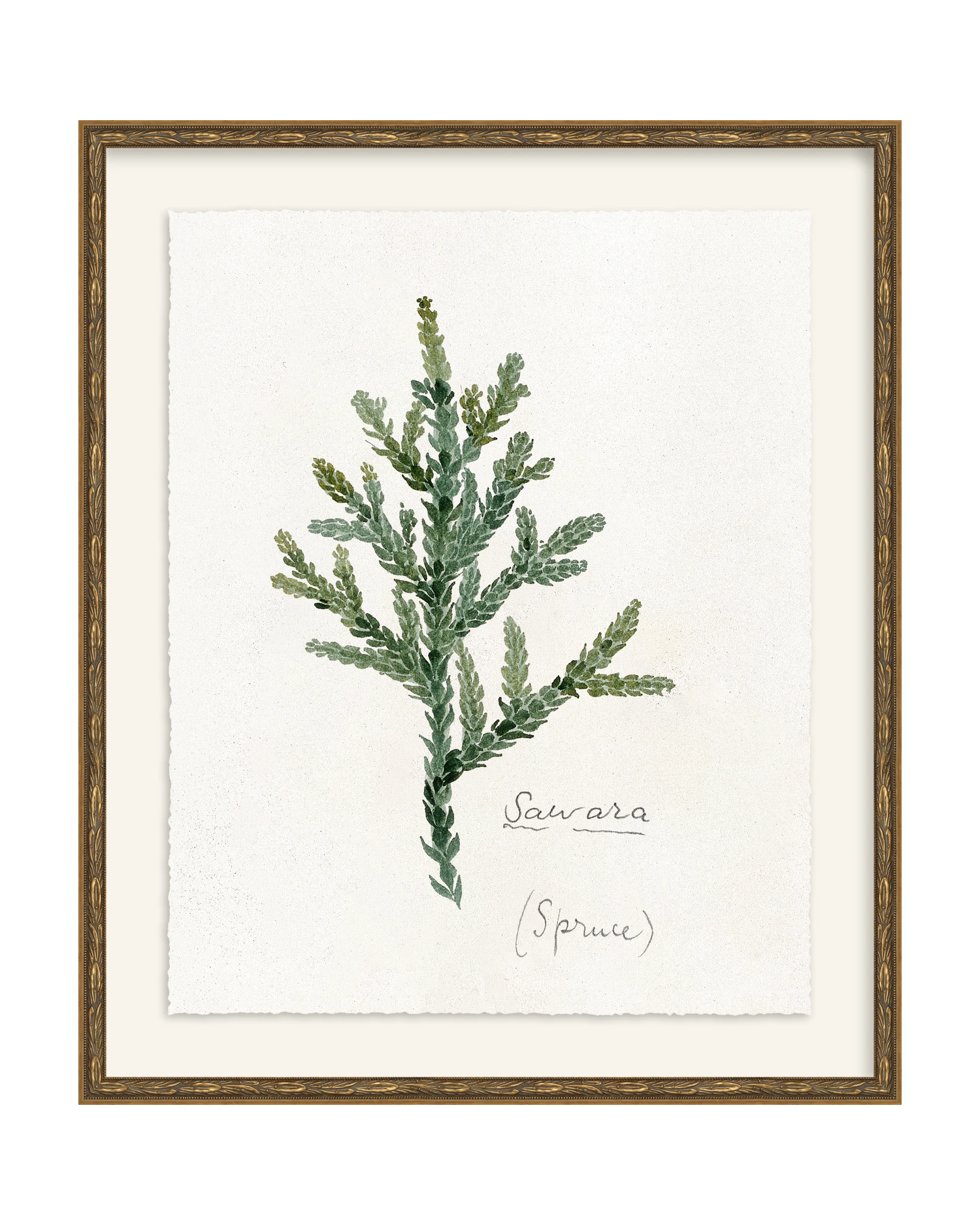Framed - Laurel Gold - Torchon - Warm White Mat / 20.5 x 24.5