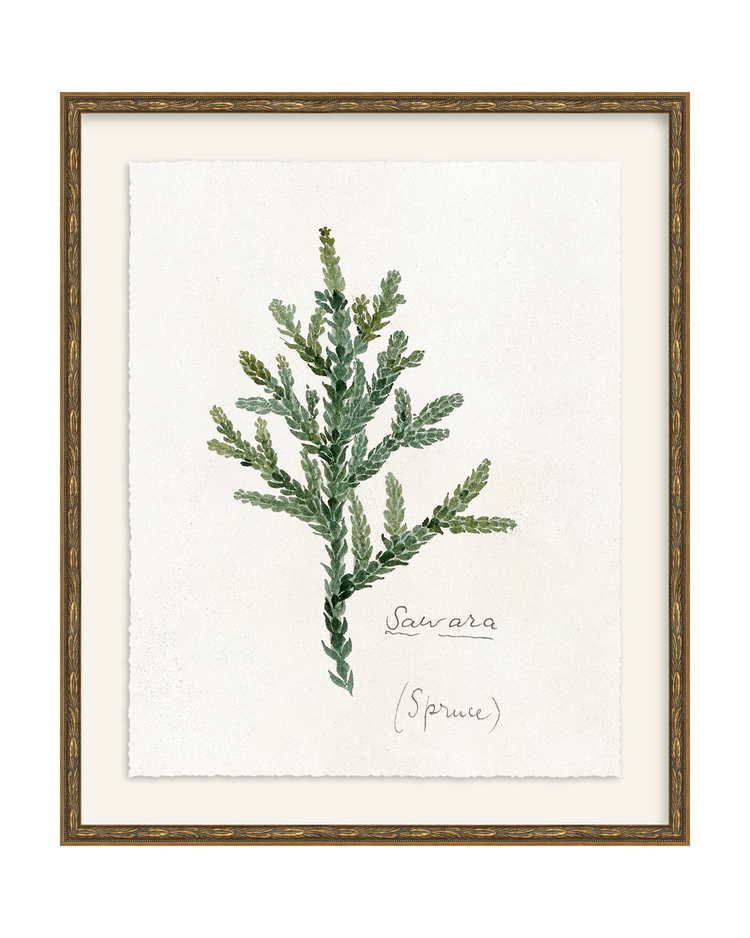 Framed - Laurel Gold - Torchon - Warm White Mat / 20.5 x 24.5