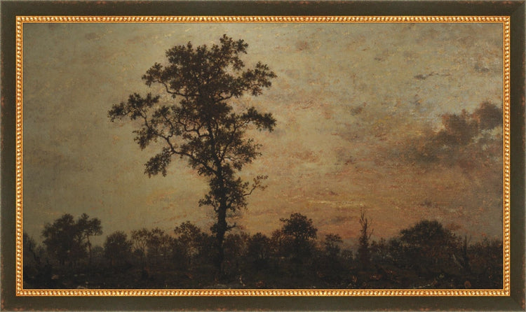 Framed Forest At Dawn. Frame: Black and Gold Beaded. Paper: Rag Paper. Art Size: 9x16. Final Size: 10'' X 17''