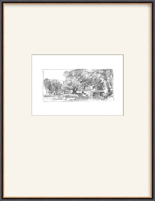 Charcoal Trees 3 - Custom Framed Print with Mat
