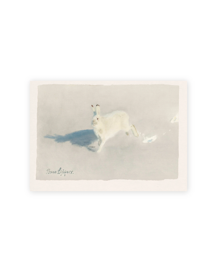 Unframed / 10 x 7 / Smooth