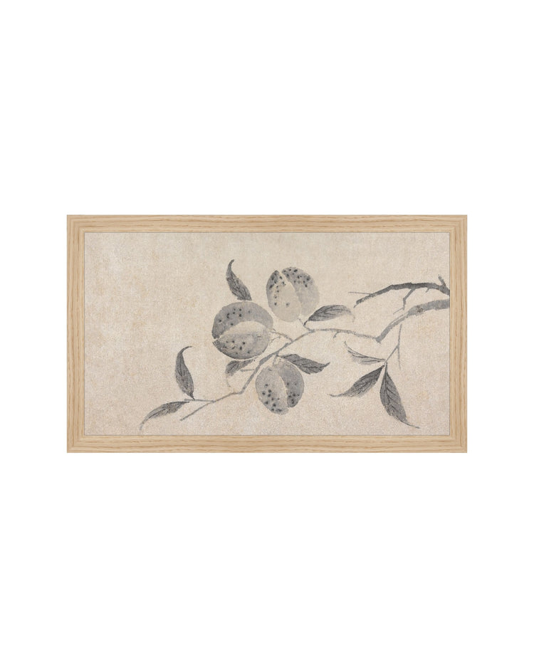 Shadowed Blooms 8