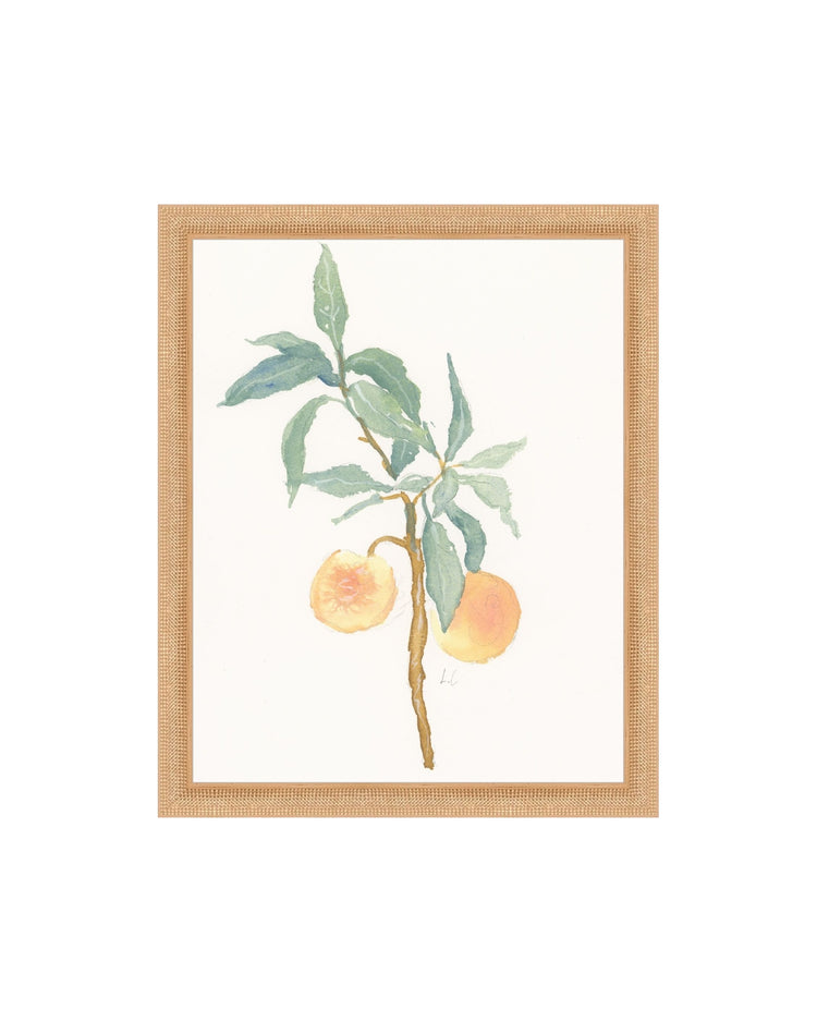 Peach Branch