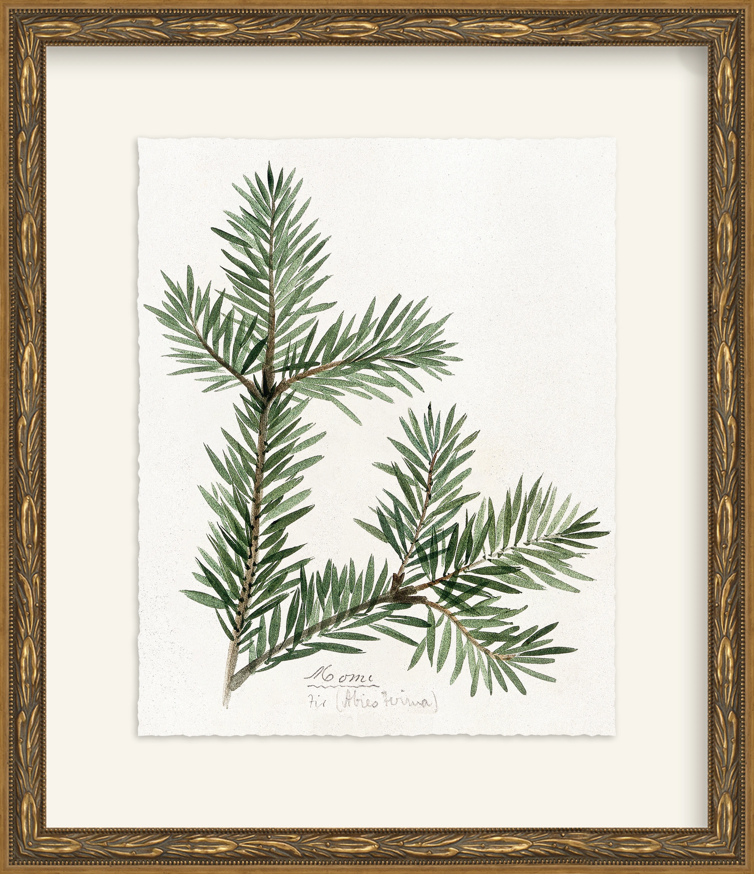 Framed - Laurel Gold - Rag - Warm White Mat / 12.5 x 14.5